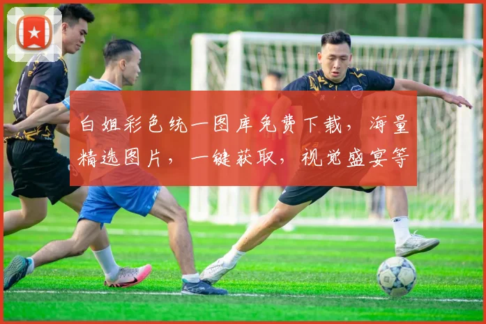 白姐彩色统一图库免费下载，海量精选图片，一键获取，视觉盛宴等你来