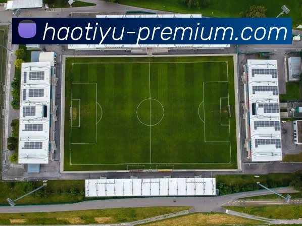 数据分析功能